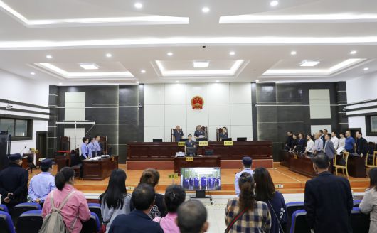 金安区法院依法宣判晏小龙等12人涉恶势力犯罪集团案