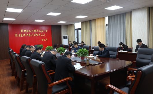 刘斌到金安区法院督导政法队伍教育整顿工作